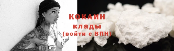 тгк Арсеньев
