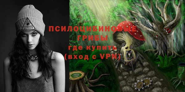 тгк Арсеньев
