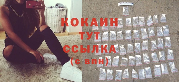 тгк Арсеньев