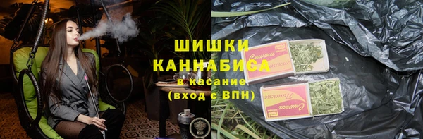 тгк Арсеньев